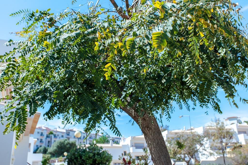 Villa Vista Anders Mar Lagos Kültér fotó